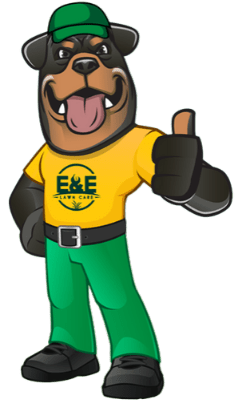 E&E Lawn Care Cartoon Bear Mascot
