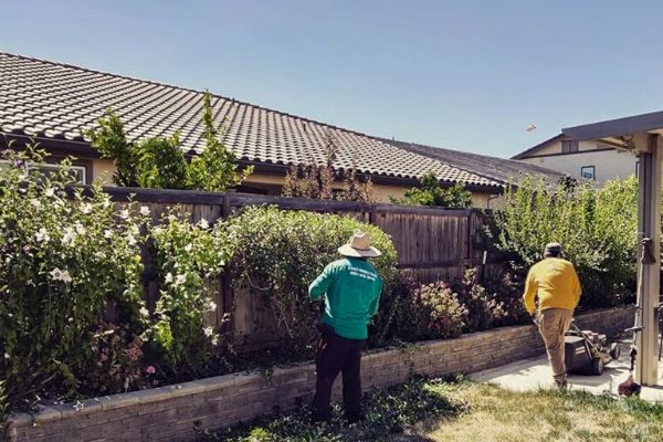  E&E Lawn Care employees working in a backyard