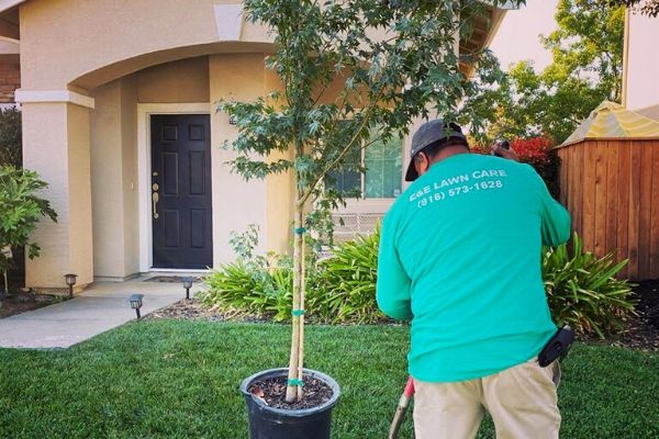 Alvero of E&E Lawn Care working in a teal shirt