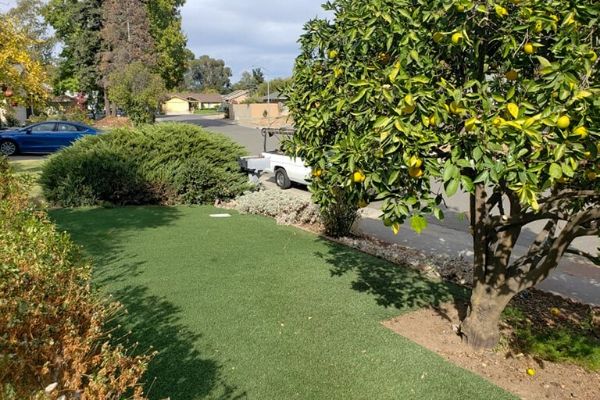  Green front lawn that is well aerated