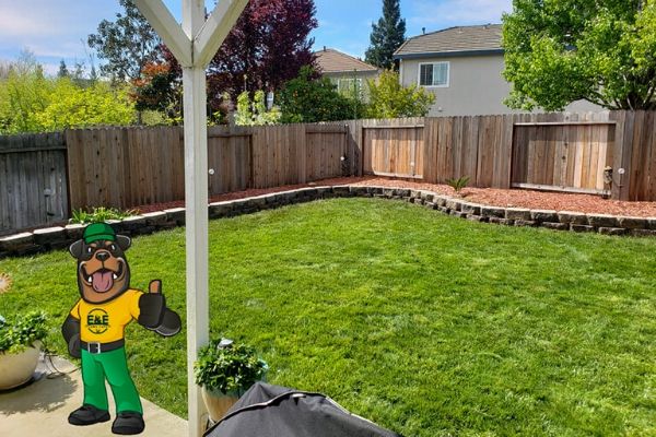  Red mulch in landscape bed around backyard