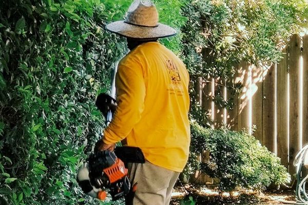 Shrub trimmers deals near me