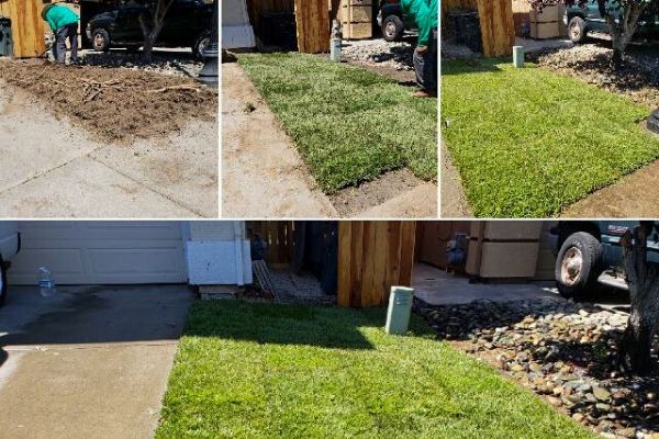  A collage of 4 pictures taken during a sod installation by E&E Lawn Care that shows the process and results from the service.